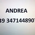 Daire Mansarda Arel